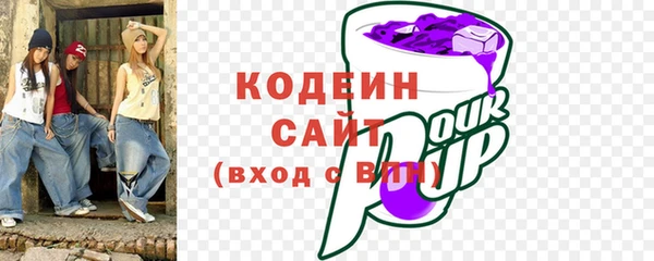 дживик Богородицк